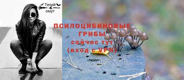 ешки Алзамай