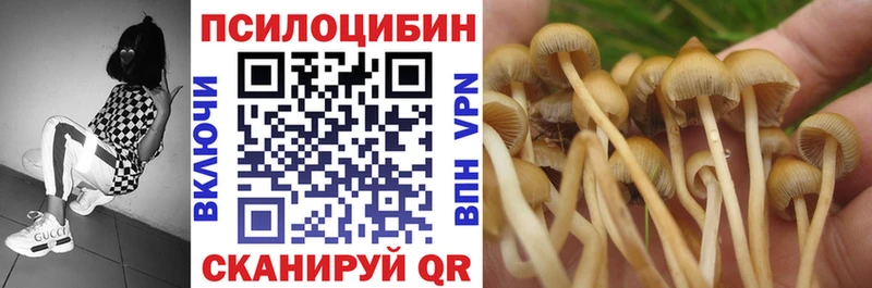 Псилоцибиновые грибы мухоморы  Рошаль 